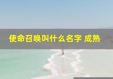 使命召唤叫什么名字 成熟